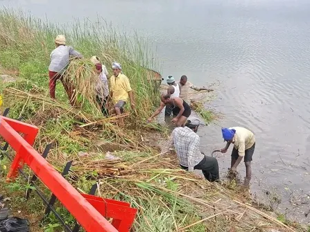 కోమటి చెరువులో తుంగ తొలగింపు పనులు వేగవంతం