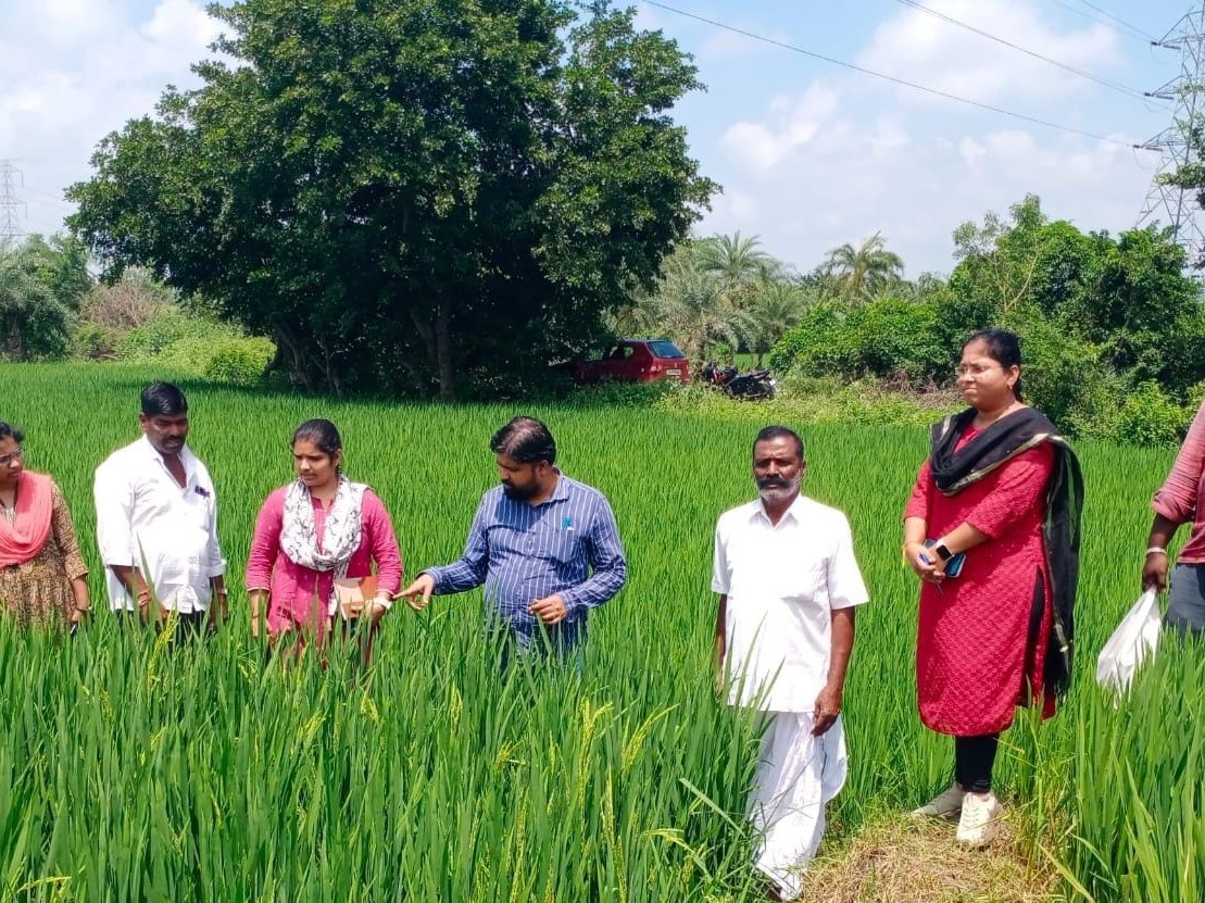 నానో యూరియాతో ఎన్నో ప్రయోజనాలు