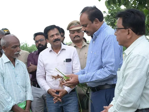ఉల్లికి గిట్టుబాటు ధర: కలెక్టర్