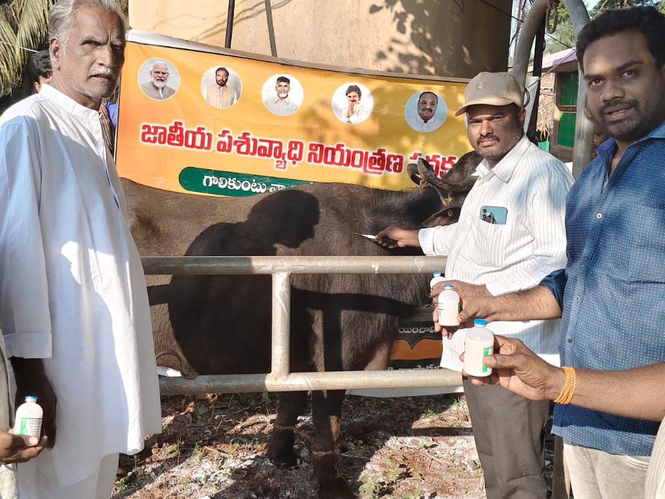 ‘టీకా కార్యక్రమాన్ని పాడి రైతులు సద్వినియోగం చేసుకోవాలి’
