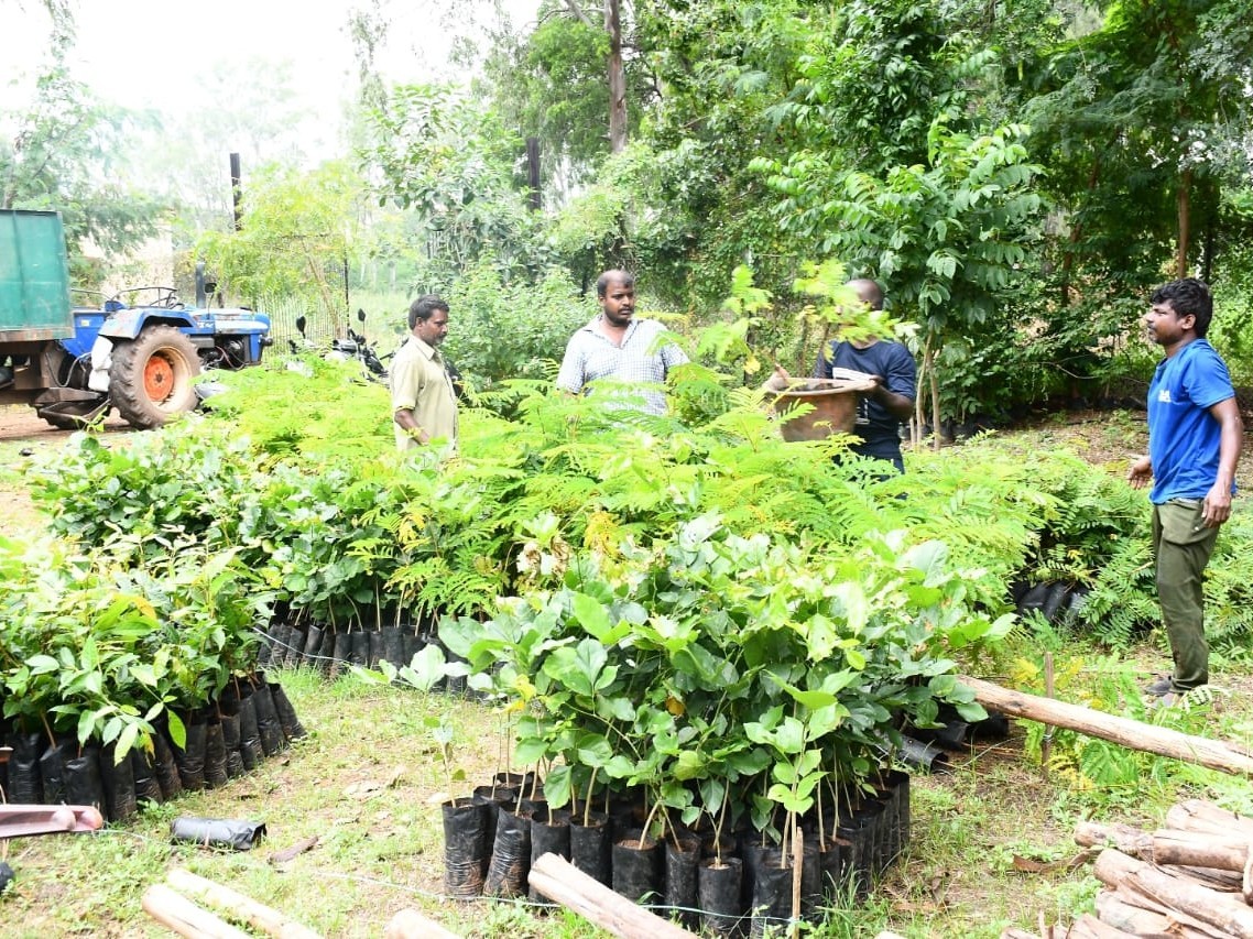 రేపు ఉచితంగా 6 వేల మొక్కల పంపిణీ