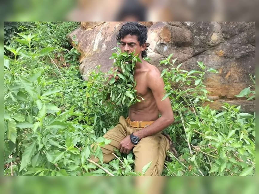 పదేళ్లుగా ఆకులే ఆహారం.. వింతైన జీవనం!