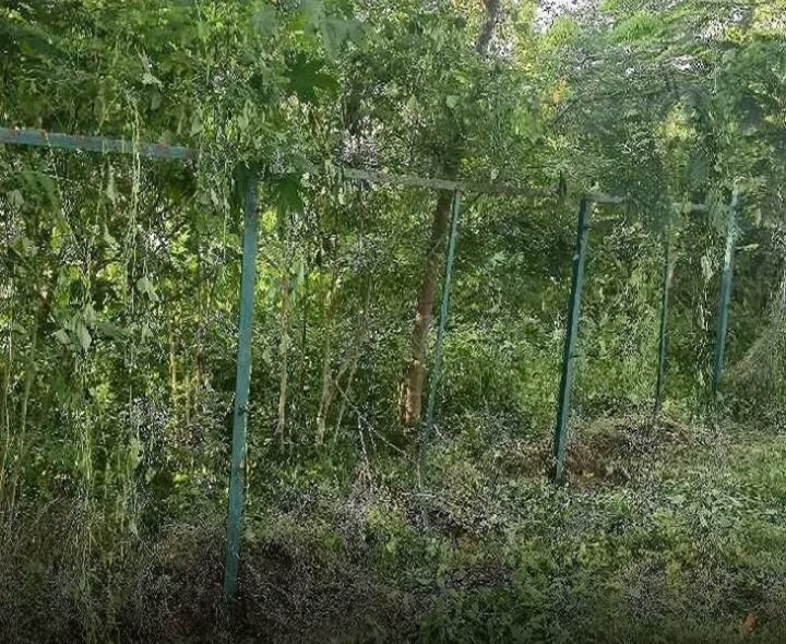మీర్‌పేటలో చెరువు చుట్టూ ఉన్నఫెన్సింగ్ చోరీ
