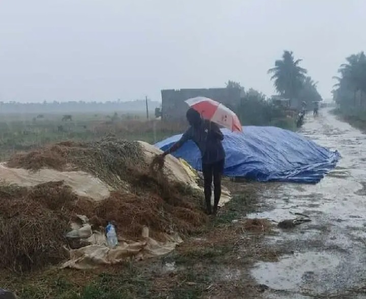 రోడ్డు పాలైన రైతు శ్రమ