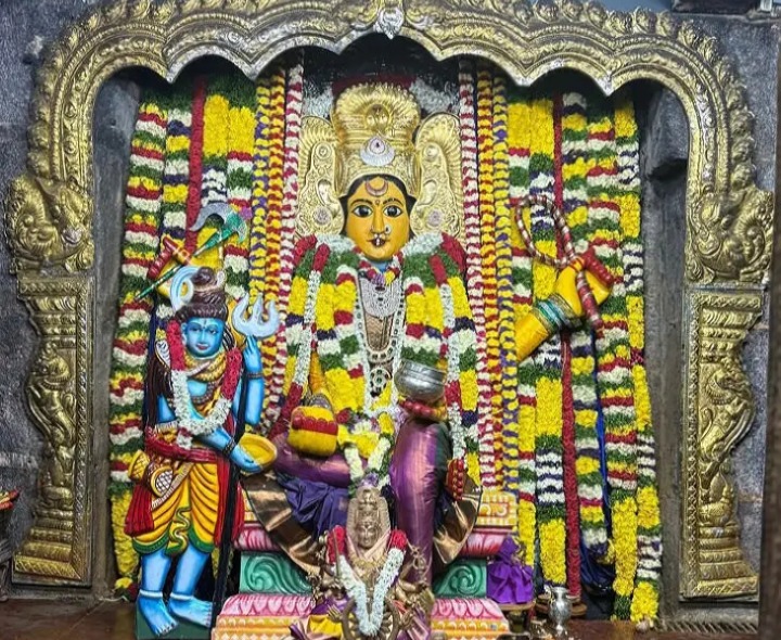 అన్నపూర్ణ దేవిగా భద్రకాళి అమ్మవారు