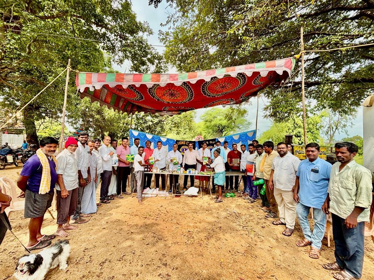 యావాపూర్‌లో పశు వైద్య శిబిరం
