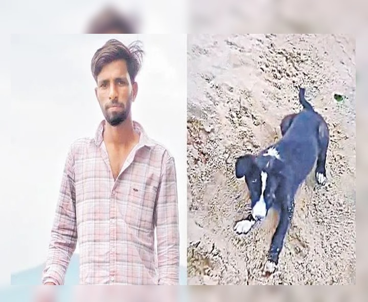 ప్రాణం తీసిన కుక్క గోరు!