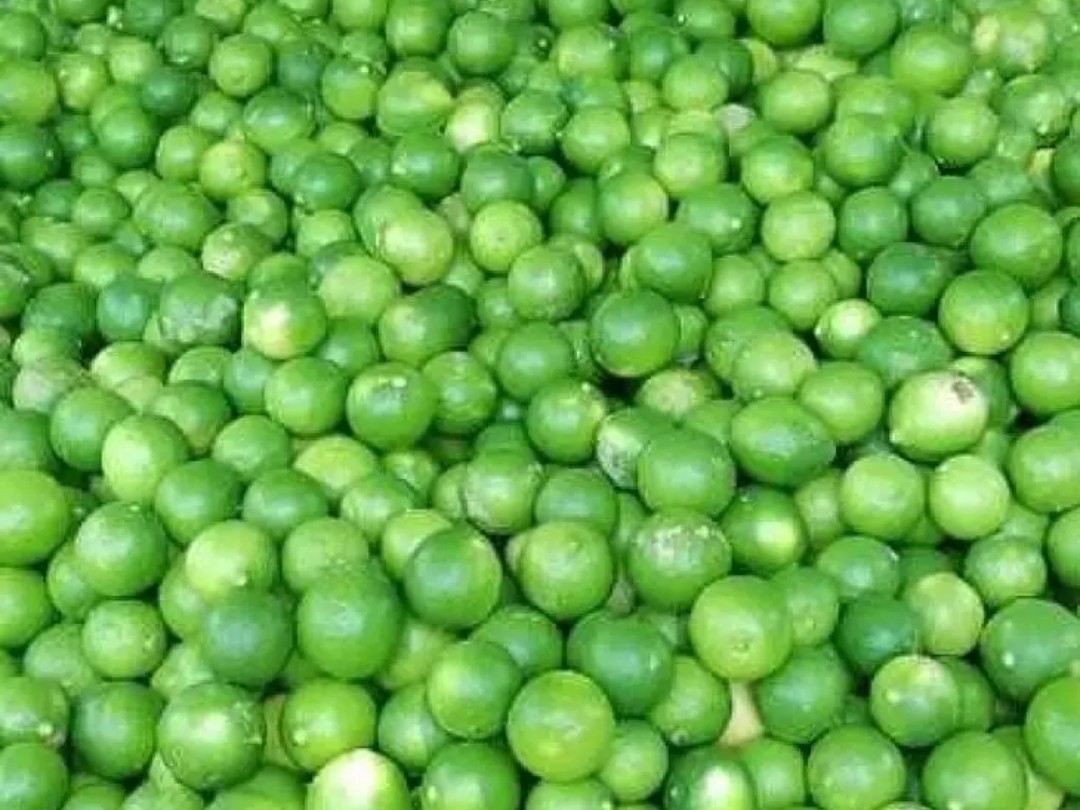 తెనాలిలో స్వల్పంగా పెరిగిన నిమ్మ ధరలు