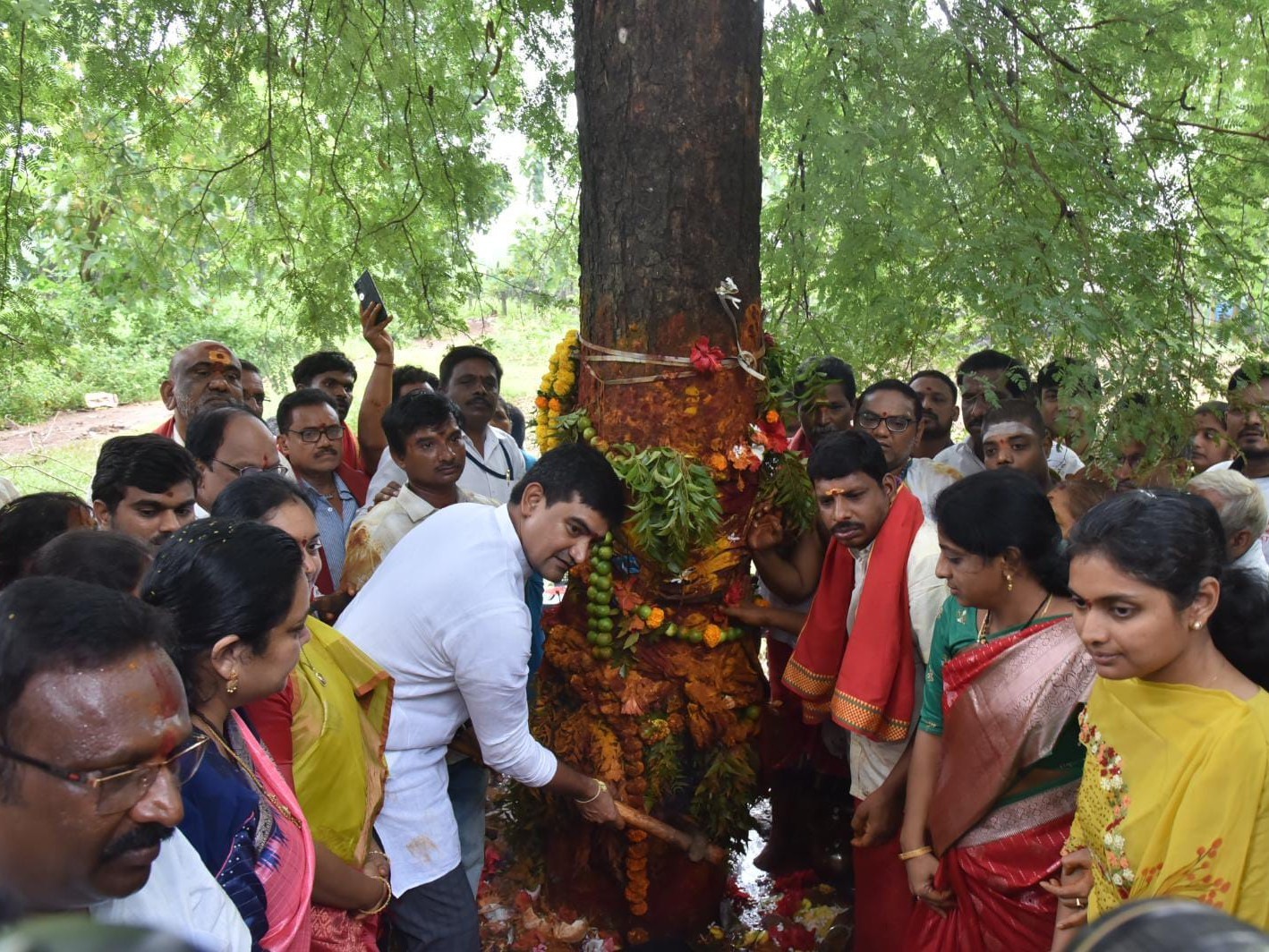 సిరిమాను త‌యారీ ప్ర‌క్రియ‌కు శ్రీ‌కారం చుట్టిన మంత్రి కొండపల్లి