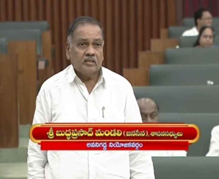 రక్షణ గోడ, వంతెన నిర్మించాలి: ఎమ్మెల్యే