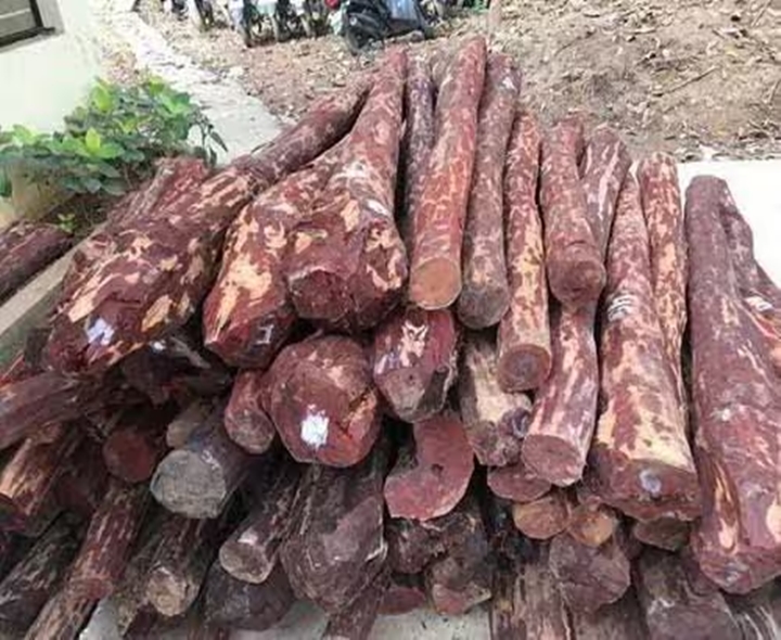 ఎర్రచందనం తరలిస్తున్న మహిళలు అరెస్ట్