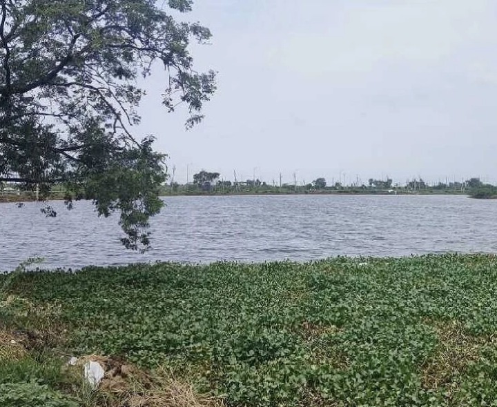 ఎర్రంబాలెం చెరువుకు రక్షణ గోడలు కరువు