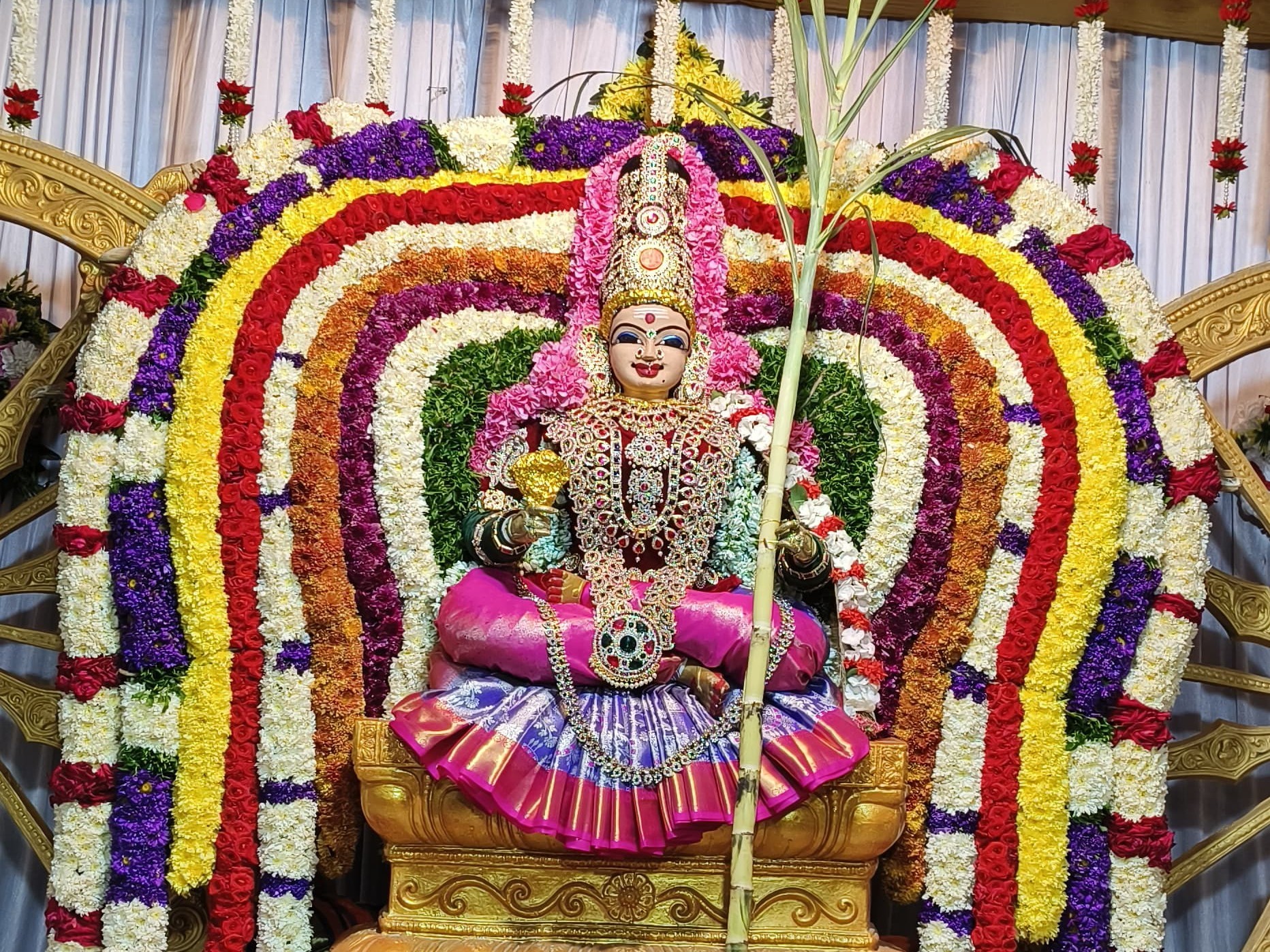 కంచి కామాక్షి దేవిగా అమ్మవారు భక్తులకు దర్శనం