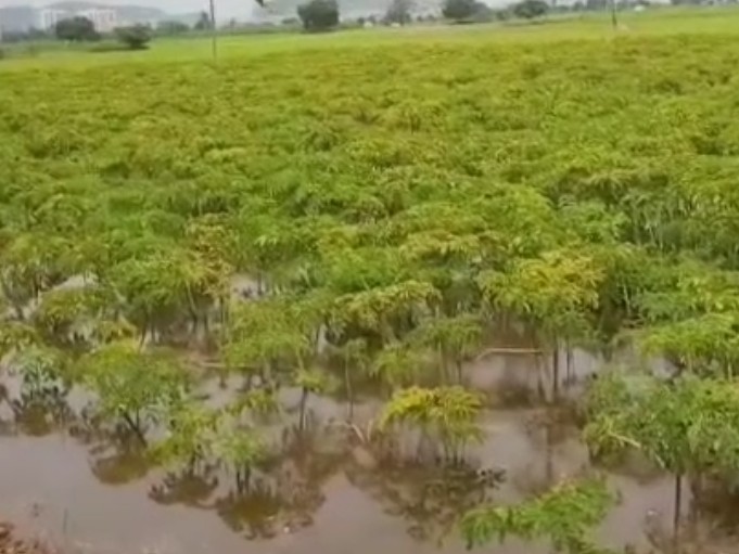 పొలాలు మునగకుండా శాశ్వత పరిష్కారం చేపట్టాలి