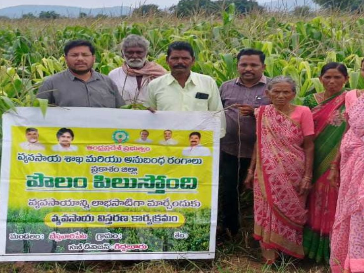 బేస్తవారిపేట మండలంలో ‘పొలం పిలుస్తుంది’ కార్యక్రమం