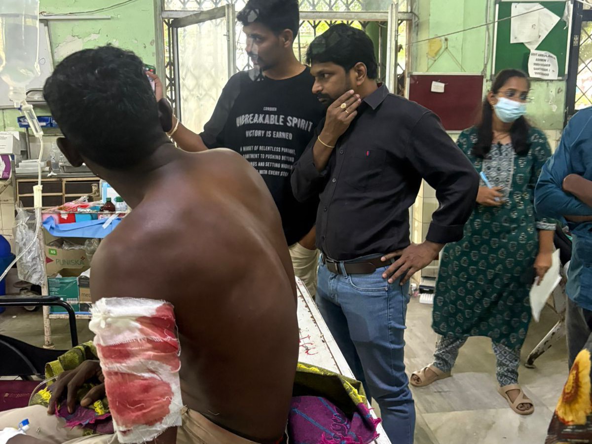 ఎలుగుబంట్ల దాడిలో ఇద్దరికి తీవ్రగాయాలు