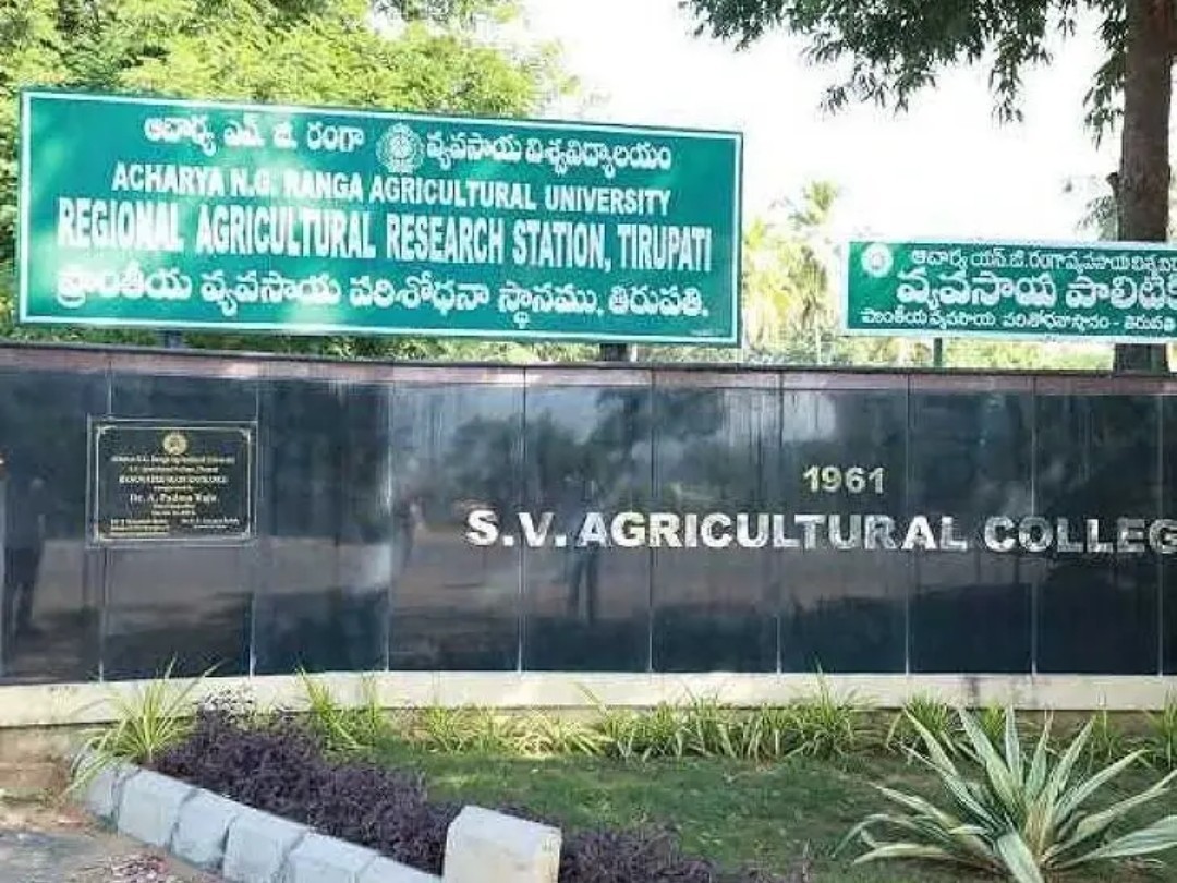 తిరుపతిలో రేపు వాక్ – ఇన్ ఇంటర్వ్యూలు