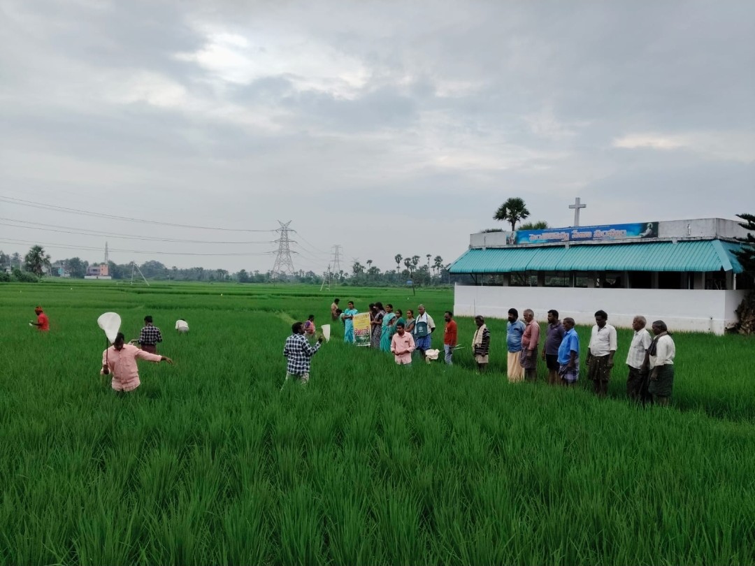 గొల్లలగుంటలో పొలం పిలుస్తోంది కార్యక్రమం