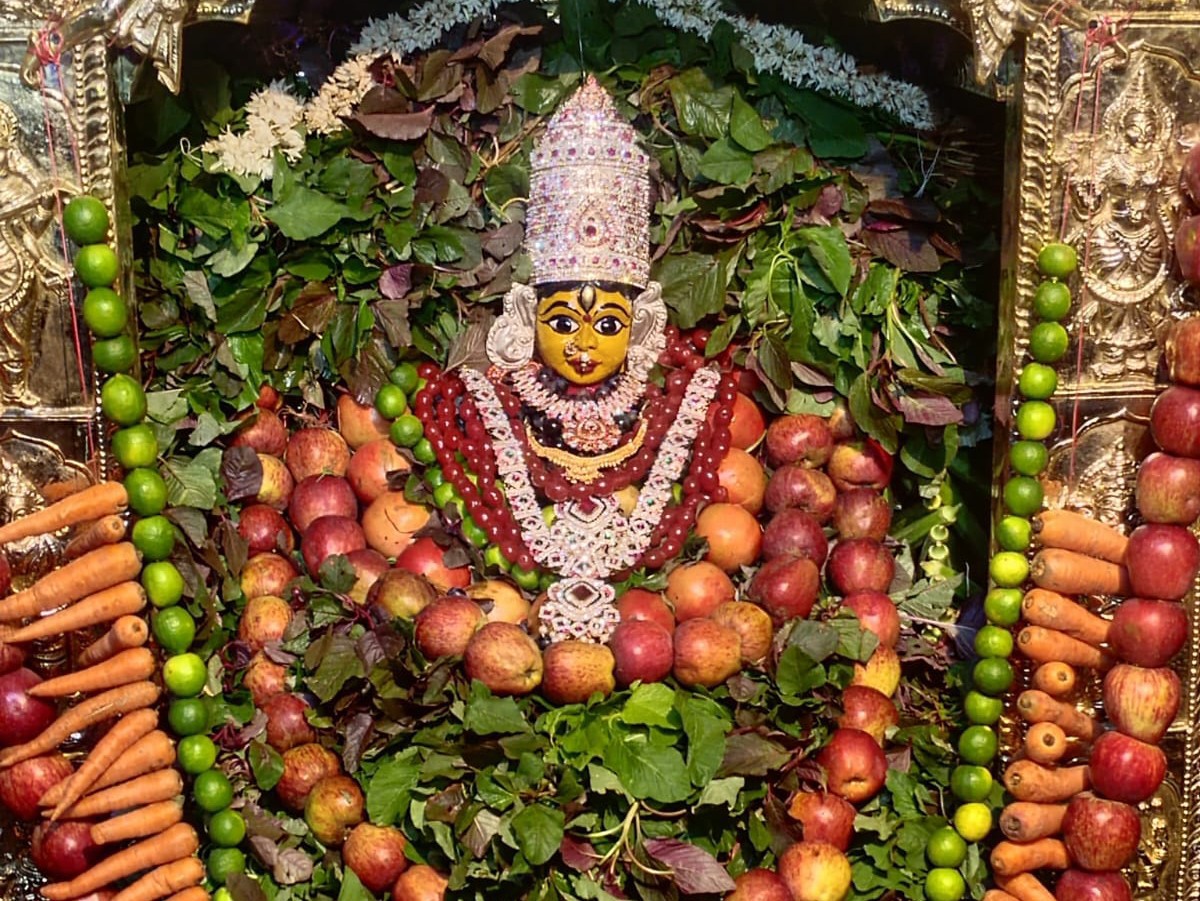 శాకాంబర దేవిగా భక్తులకు దర్శనమిచ్చిన నీలమని అమ్మ