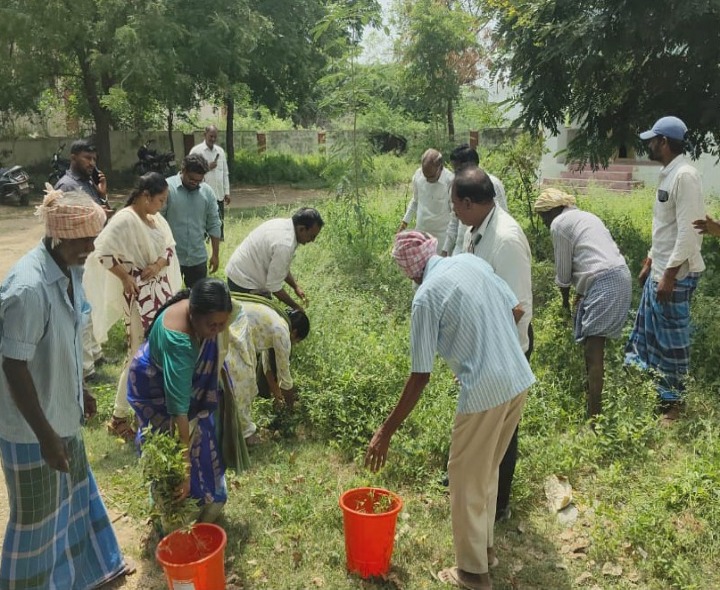 తర్లుపాడులో  స్వచ్చతా హీ సేవా కార్యక్రమం