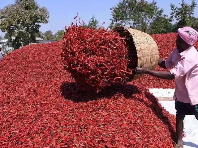నేటి పత్తి, మిర్చి ధరలు ఇలా..