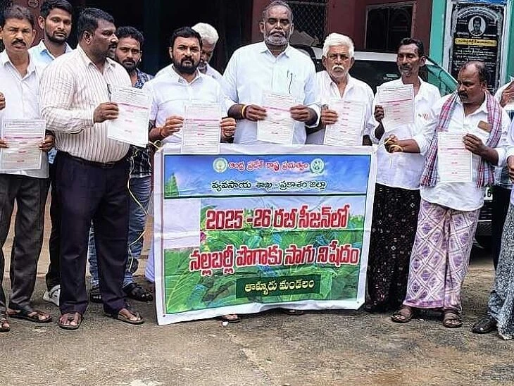 పొగాకును సాగు చేయకండి: ఏవో