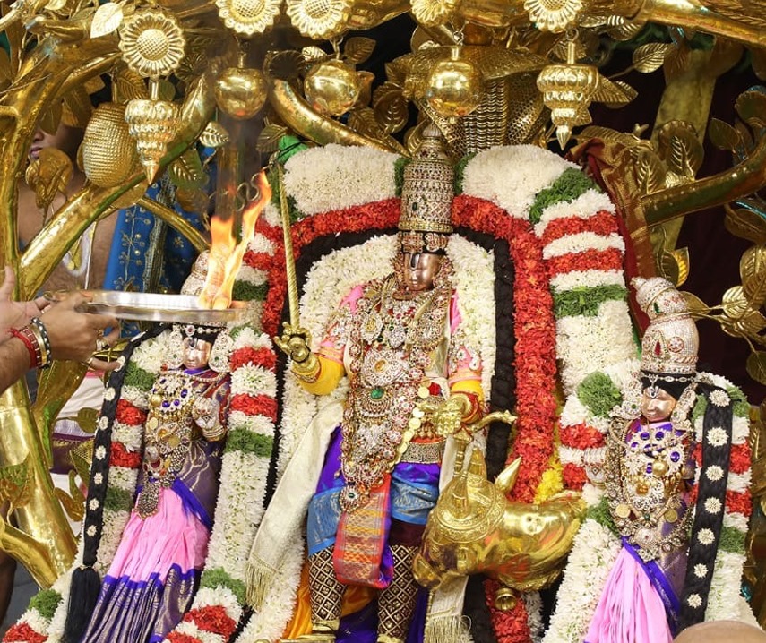 బ్రహ్మోత్సవాలు.. ముత్యపు పందిరి వాహనంపై శ్రీవారు