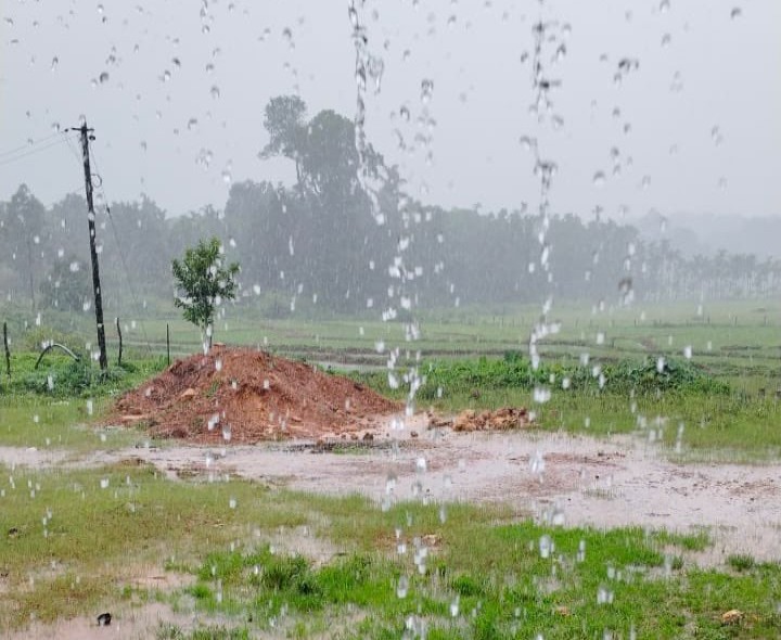 తీరం దాటిన వాయుగుండం.. జిల్లాలో వర్షాలు