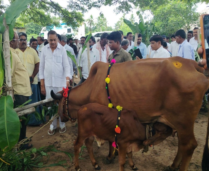 ‘మేలు జాతి పాడి గేదెలతో సమృద్ధి పొందాలి’