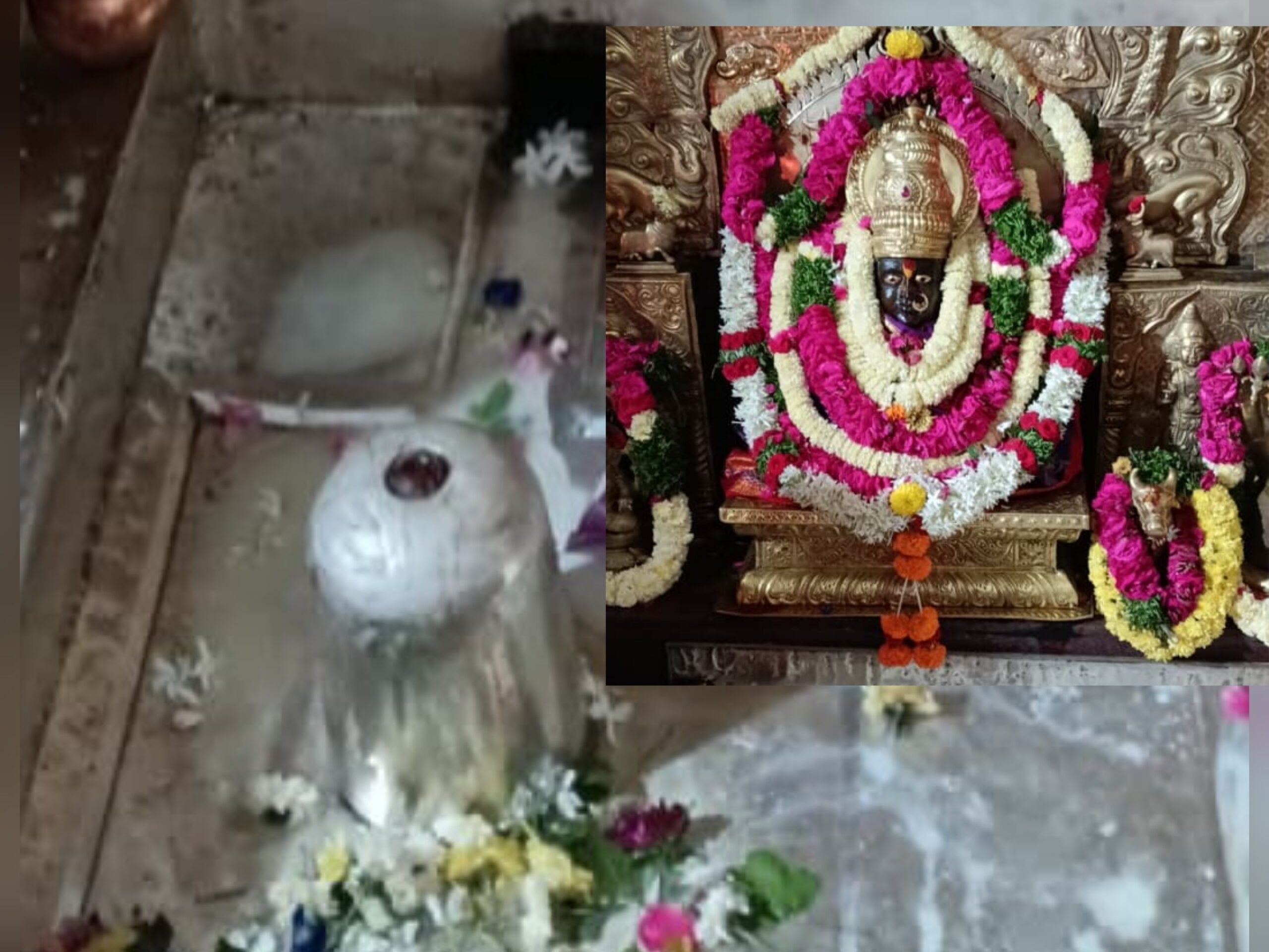 సంగమేశ్వర స్వామికి ప్రత్యేక పూజలు