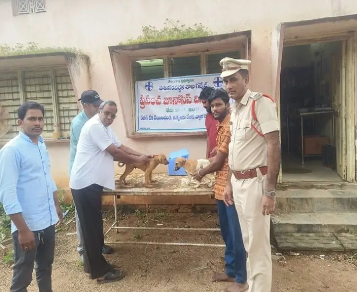 రేబిస్ రాకుండా కుక్కలకు వ్యాక్సినేషన్