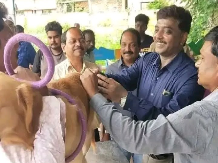 ‘పెంపుడు శునకాలకు టీకాలు తప్పనిసరి’
