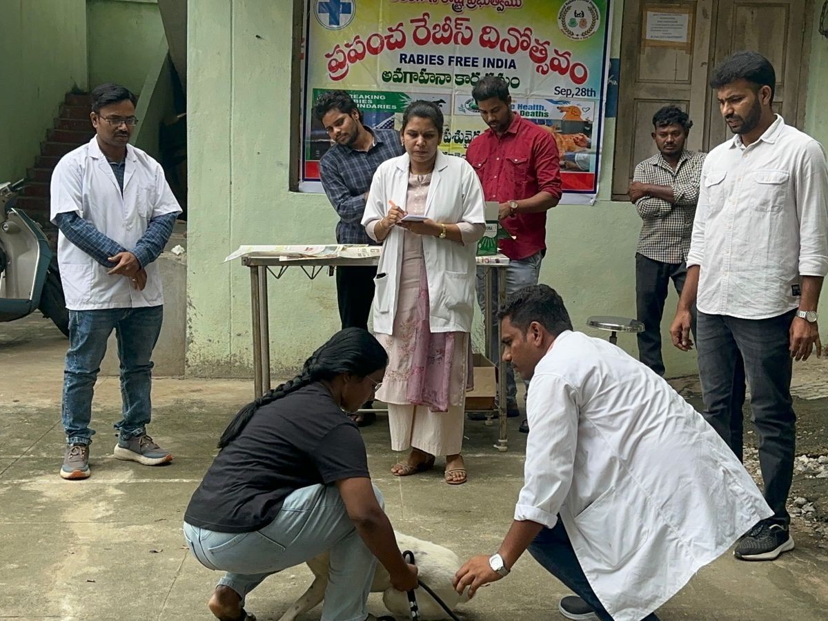 పెంపుడు జంతువులకు వ్యాధి నిరోధక టీకా