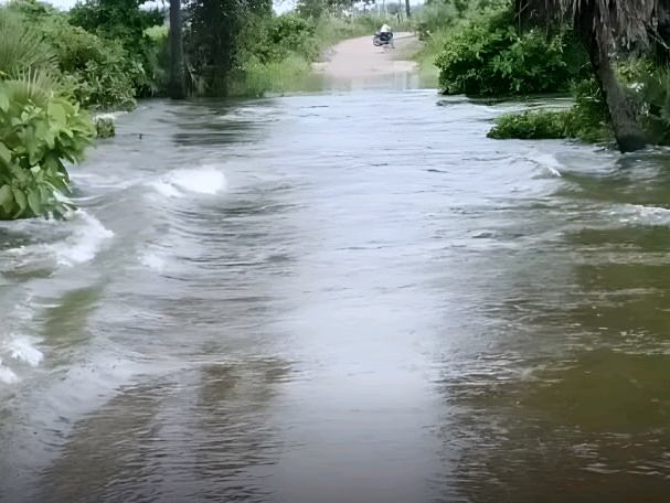 నర్సంపేటలో నిలిచిపోయిన రాకపోకలు