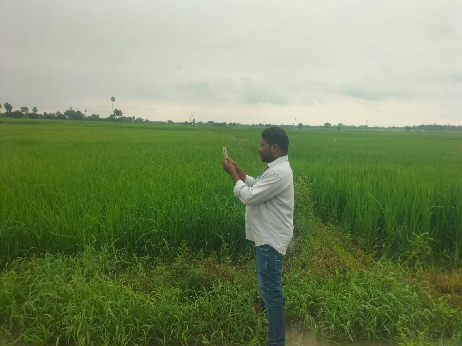 నల్లబెల్లిలో రైతుల పంట వివరాల ఆన్లైన్ నమోదు