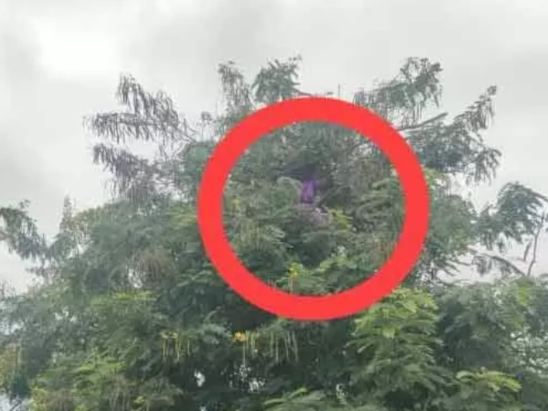 బతుకమ్మ పువ్వుల కోసం మహిళ సాహసం
