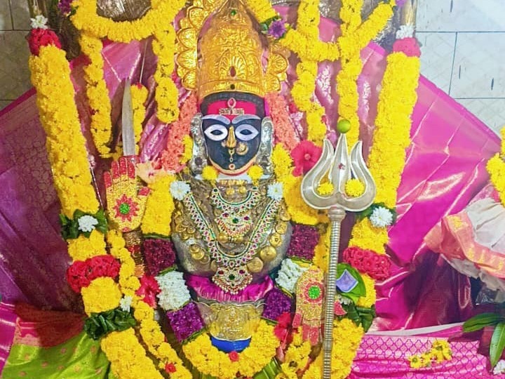 రాజ రాజేశ్వరిగా పల్లాలమ్మ అమ్మవారి దర్శనం