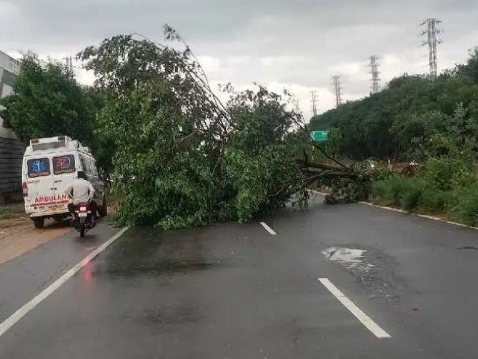 రోడ్డుకు అడ్డంగా నేలకొరిగిన చెట్టు