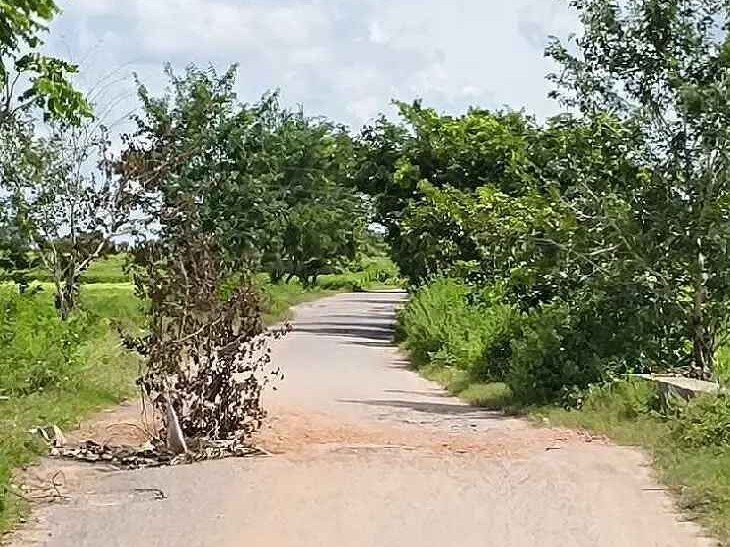 వెగురుపల్లి-ఊటూరు రోడ్డు పరిస్థితి ఇది