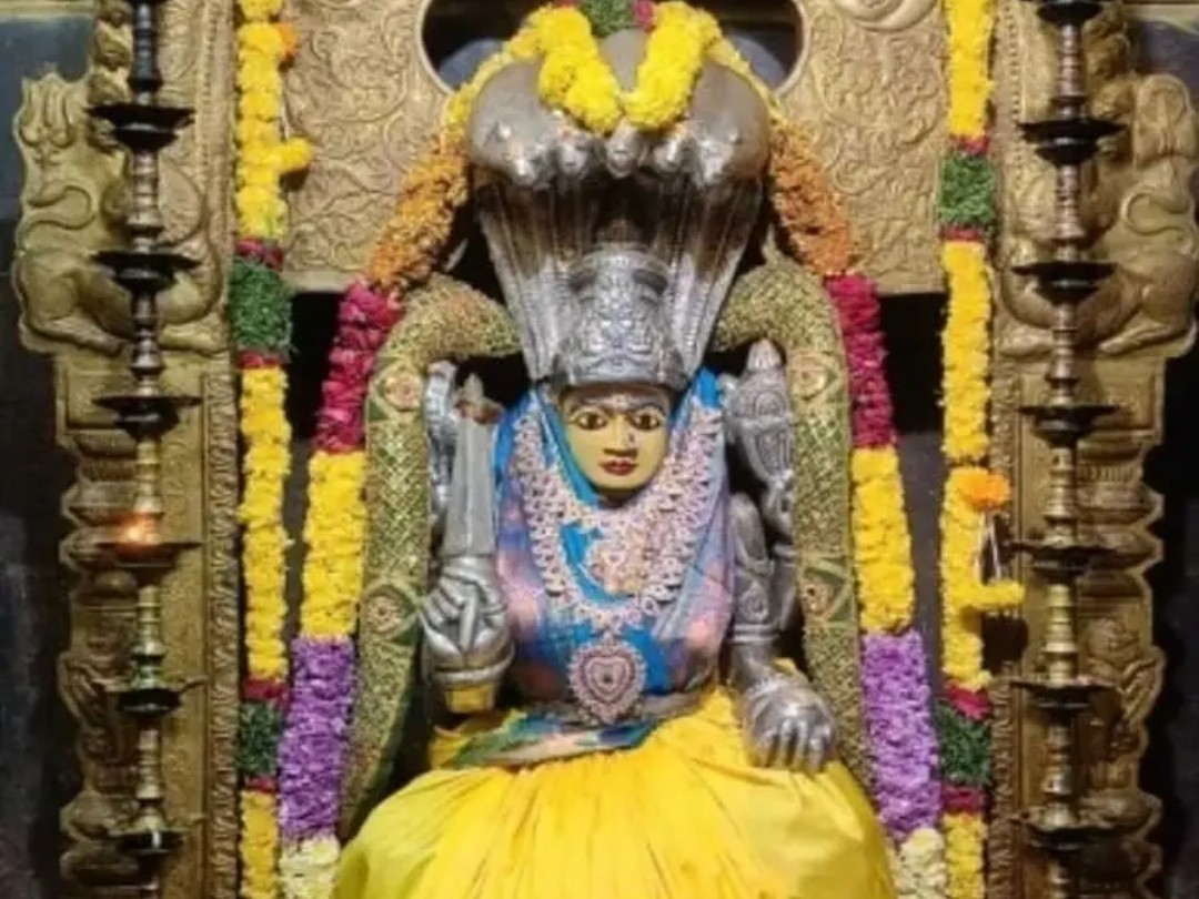 దర్వేశిపురంలో ఎల్లమ్మ దివ్యదర్శనం