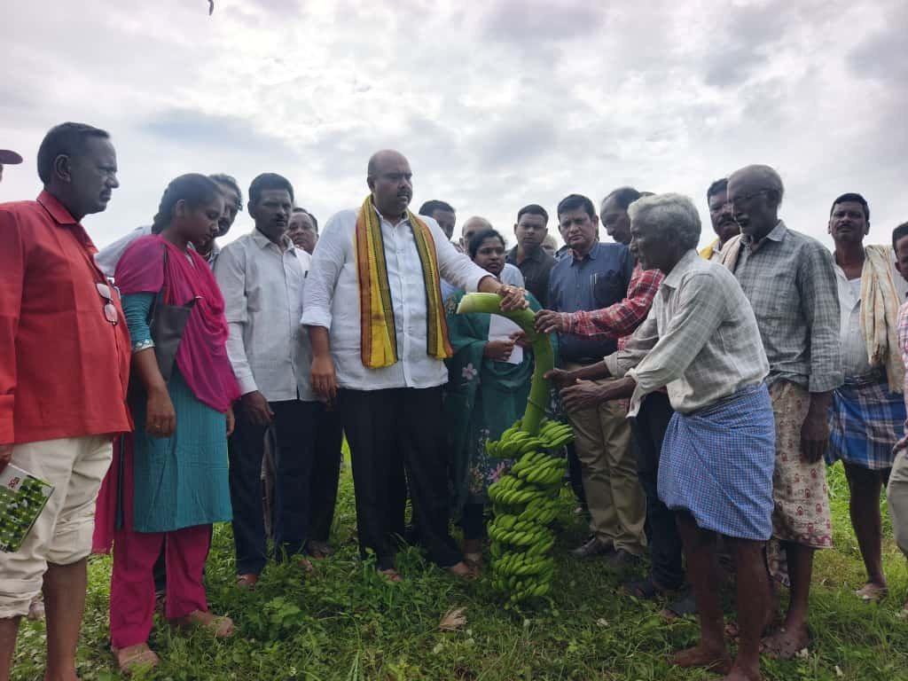 అరటి పంటను పరిశీలించిన ఎమ్మెల్యే