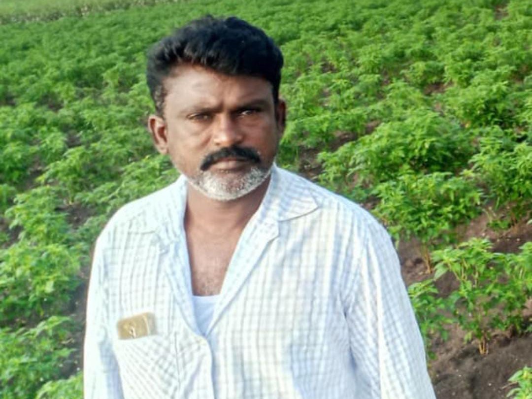 పాము కాటుకు గురైన రైతు మృతి