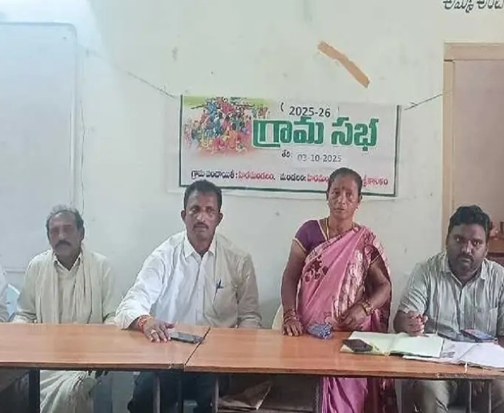 ‘పంచాయతీ సమస్యలపై దృష్టి సారించాలి’