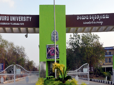 PUకి గిన్నిస్ రికార్డు
