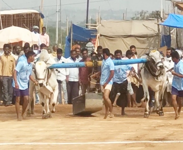 హోరాహోరీగా బండలాగుడు ప్రదర్శన