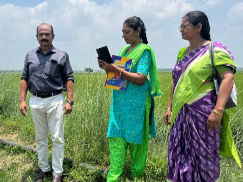 ‘ఈ క్రాప్ నమోదుకు గడువు పెంపు’