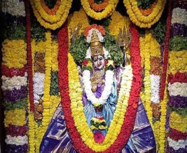 వారాహి దేవి అమ్మవారిగా దర్శనమిస్తున్న శ్రీదేవి అమ్మవారు