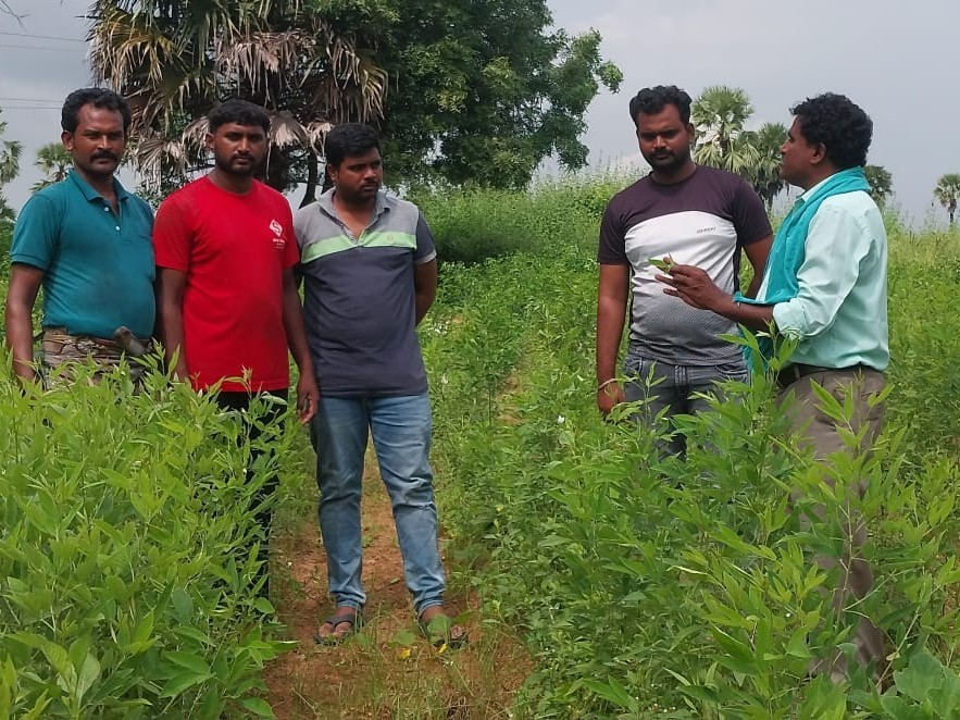‘ప్రకృతి వ్యవసాయంతో అధిక దిగుబడులు సాధించవచ్చు’
