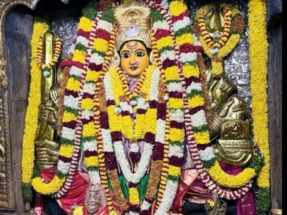 భద్రకాళి అమ్మవారికి ప్రత్యేక పూజలు.