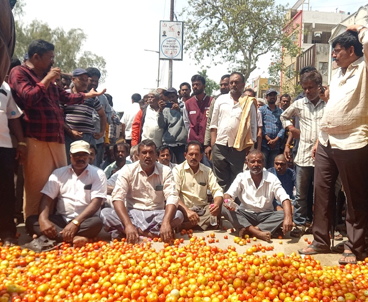 భారీగా పడిపోయిన టమాటా ధరలు!